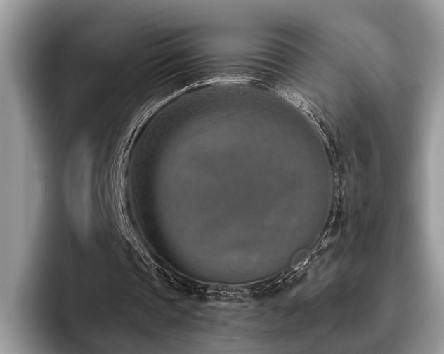 X0000096210337200801181435
