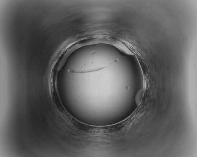 X0000096210339200801181435