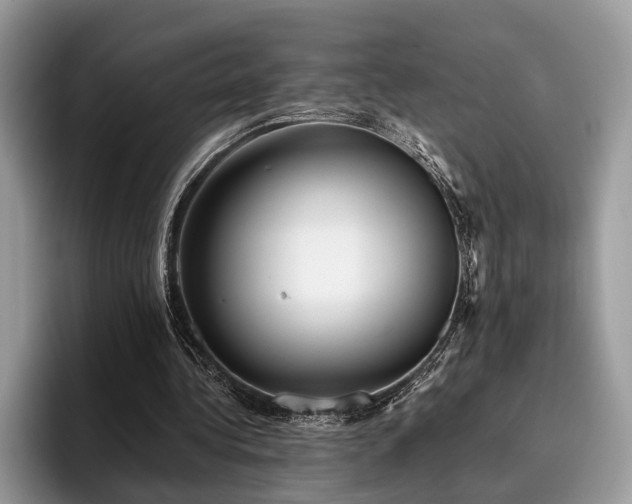 X0000096210340200801181435