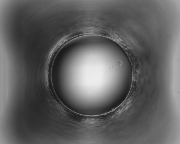 X0000096210341200801181435