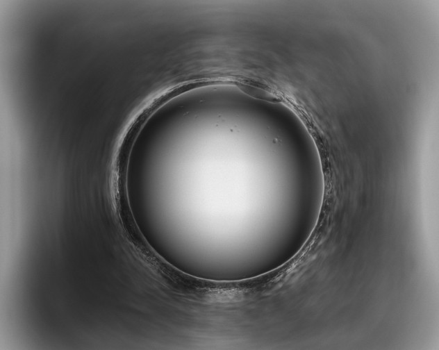 X0000096210342200801181435