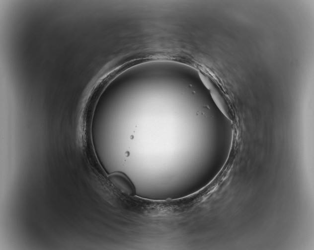 X0000096210343200801181435