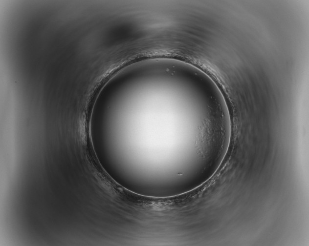 X0000096210345200801181435