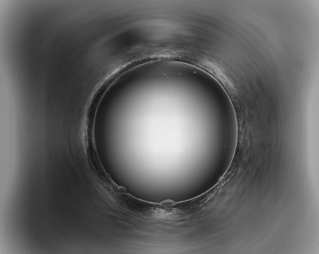 X0000096210346200801181435