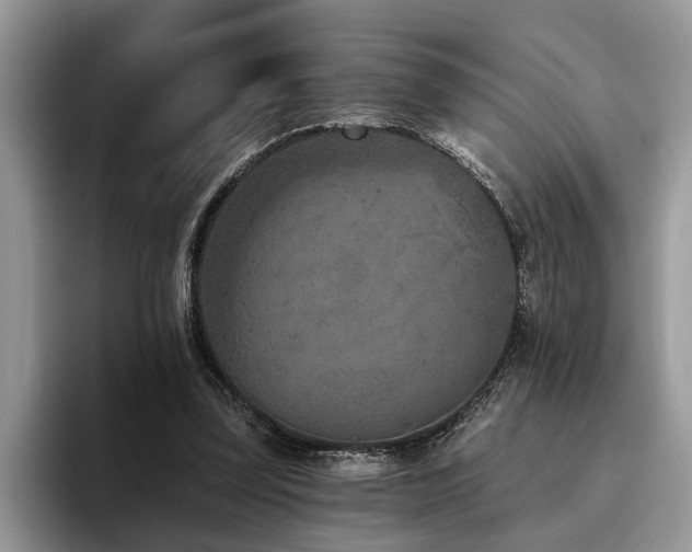 X0000096210347200801181435