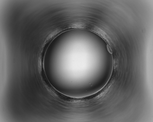 X0000096210349200801181435
