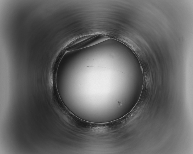 X0000096210350200801181435