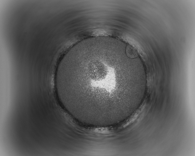 X0000096210353200801181435