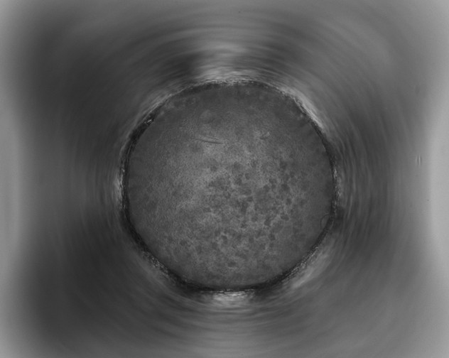 X0000096210357200801181435