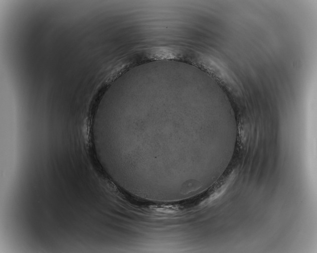 X0000096210359200801181435