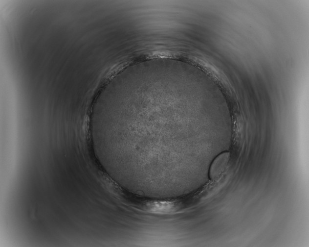 X0000096210361200801181435