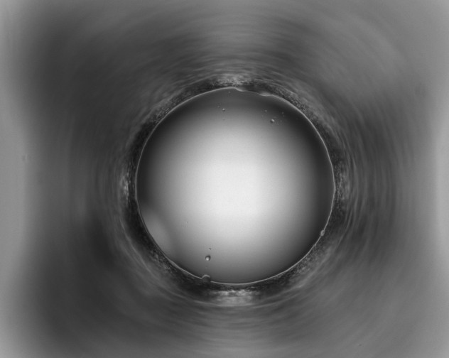 X0000096210363200801181435