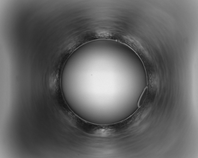 X0000096210364200801181435