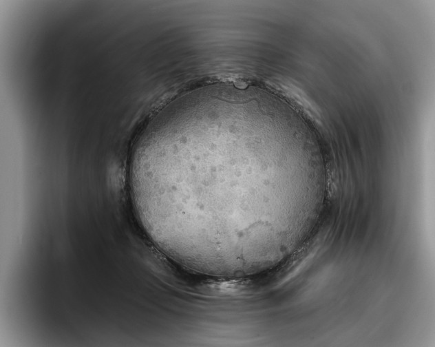 X0000096210365200801181435