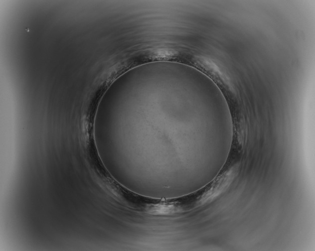 X0000096210366200801181435