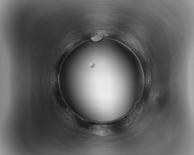 X0000096210367200801181435