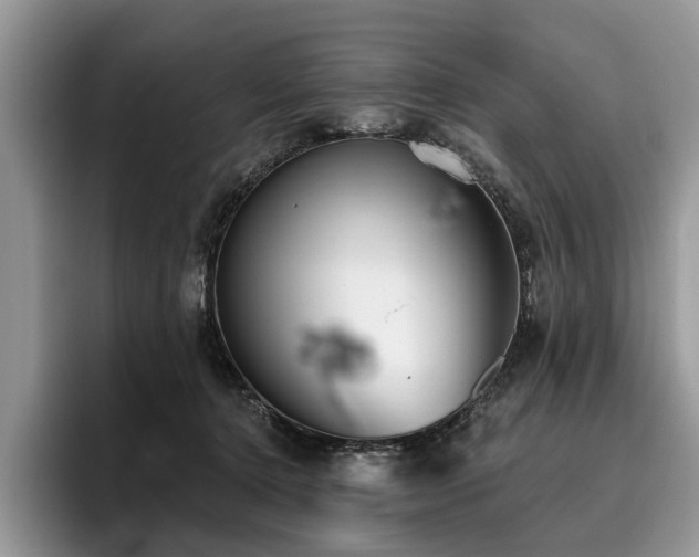 X0000096210368200801181435