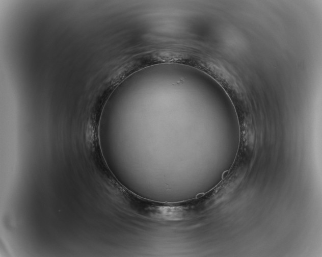 X0000096210371200801181435