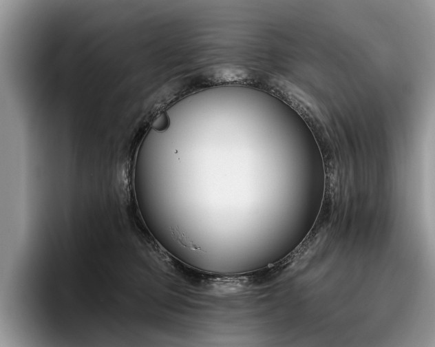 X0000096210373200801181435
