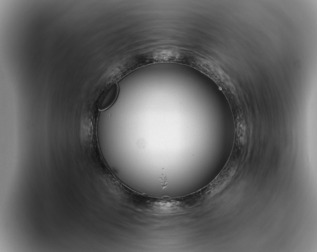 X0000096210375200801181435