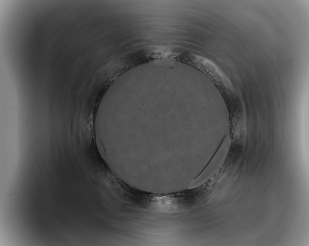 X0000096210376200801181435