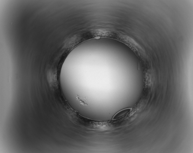 X0000096210377200801181435