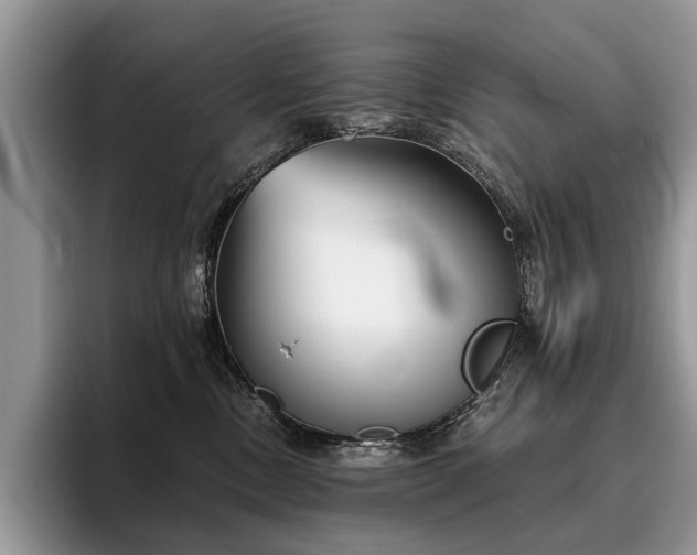 X0000096210378200801181435