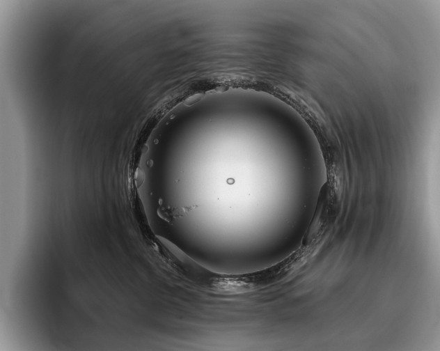 X0000096210380200801181435