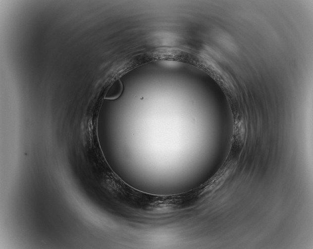 X0000096210381200801181435