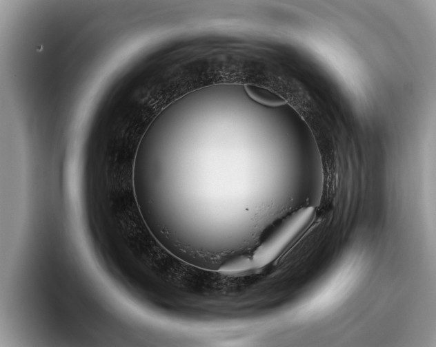 X0000096210383200801181435