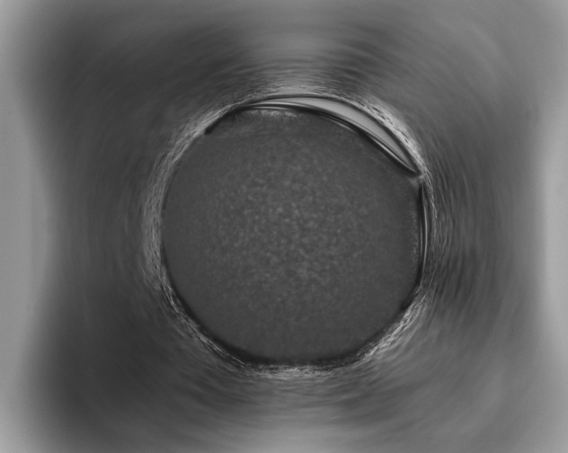 X0000096210385200801181435