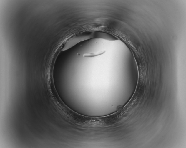 X0000096210386200801181434