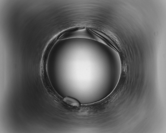 X0000096210388200801181434
