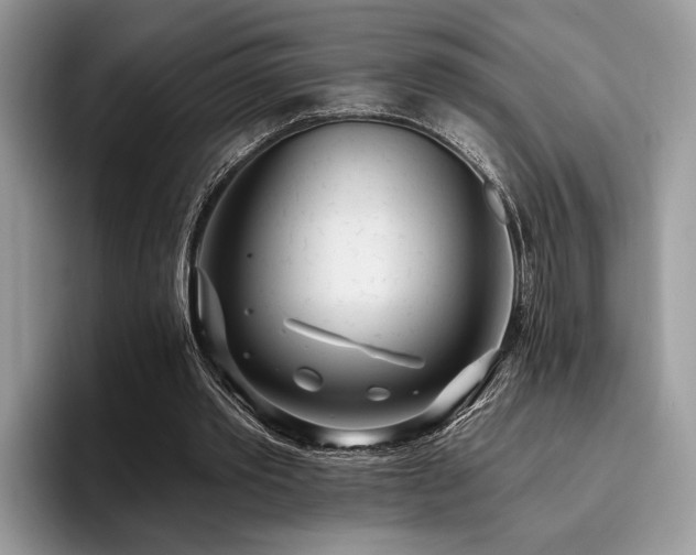 X0000096210389200801181434
