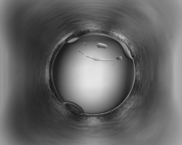 X0000096210390200801181434