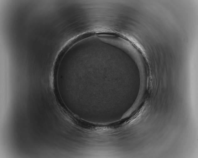 X0000096210391200801181434