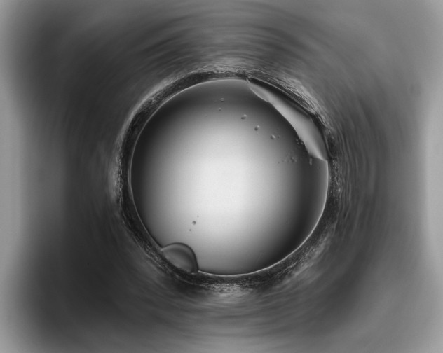 X0000096210392200801181434
