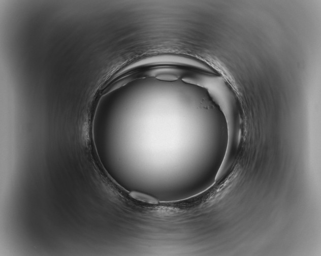 X0000096210393200801181434