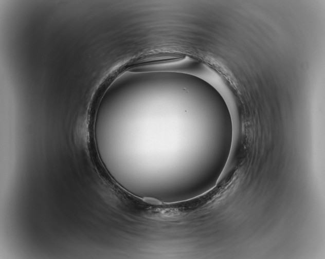 X0000096210395200801181434
