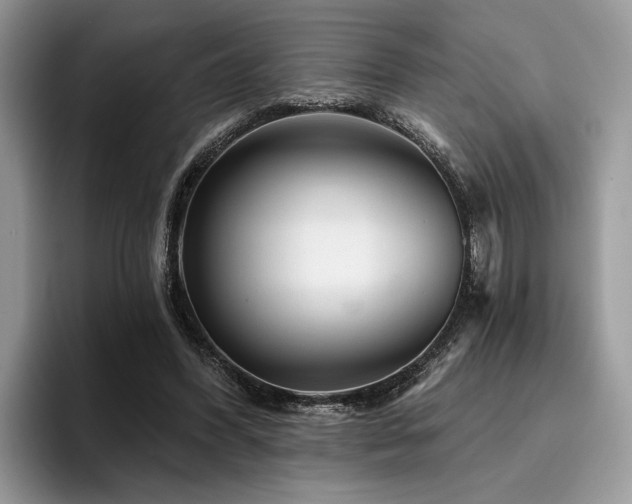 X0000096210396200801181434