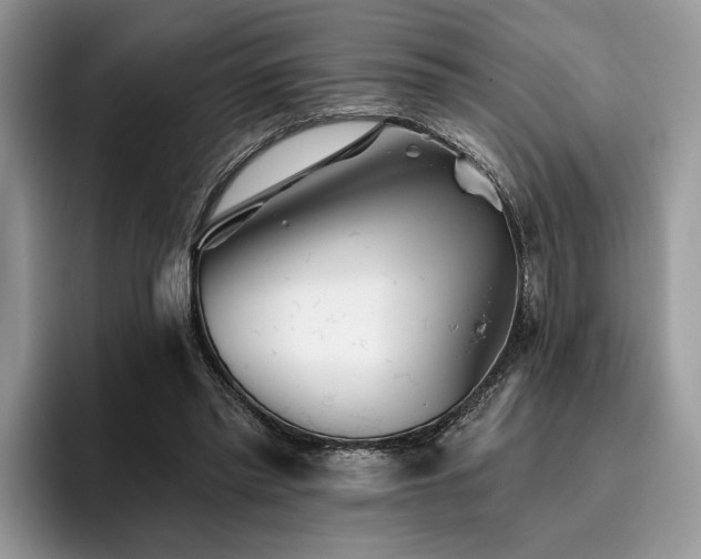 X0000096210397200801181434