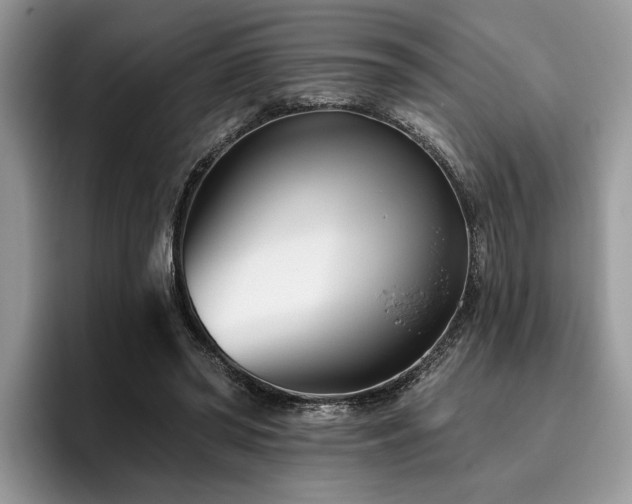 X0000096210398200801181434