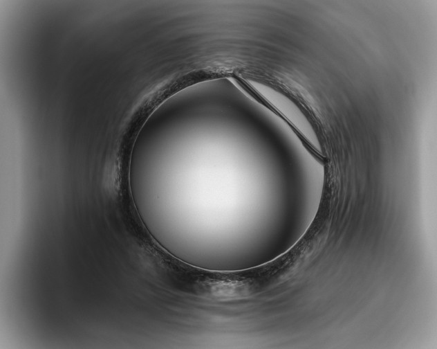 X0000096210400200801181434