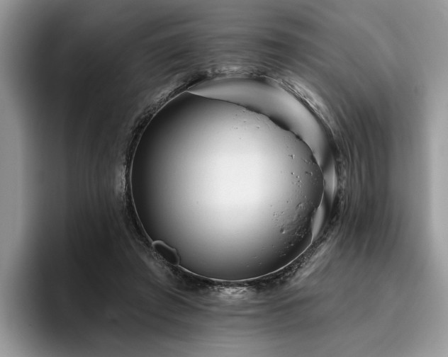 X0000096210401200801181434