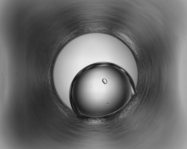 X0000096210405200801181434