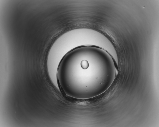 X0000096210407200801181434