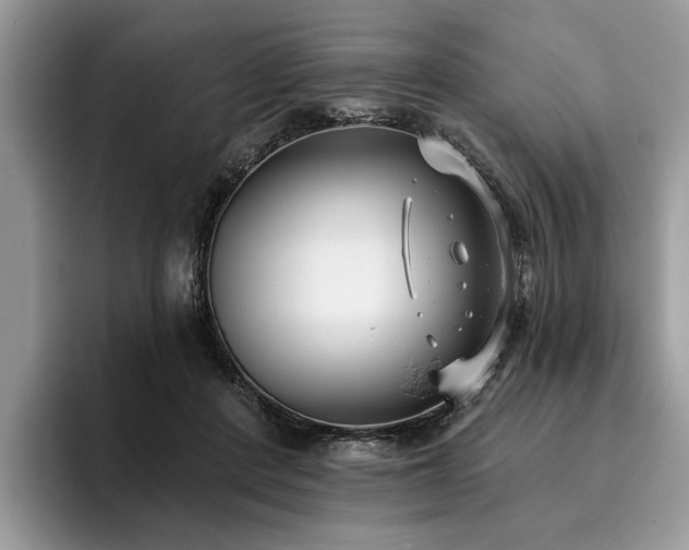 X0000096210408200801181434