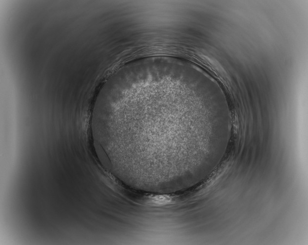 X0000096210409200801181434