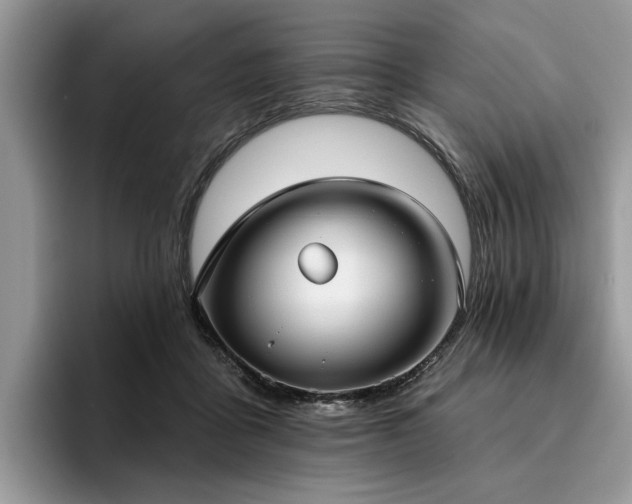 X0000096210411200801181434