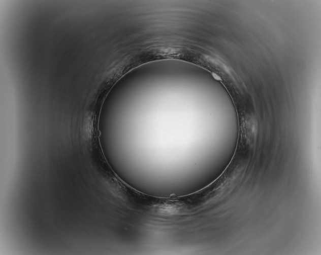X0000096210412200801181434